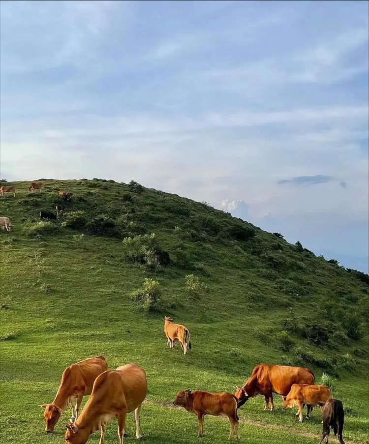 福州這13個寶藏地方周末沒去會有遺憾