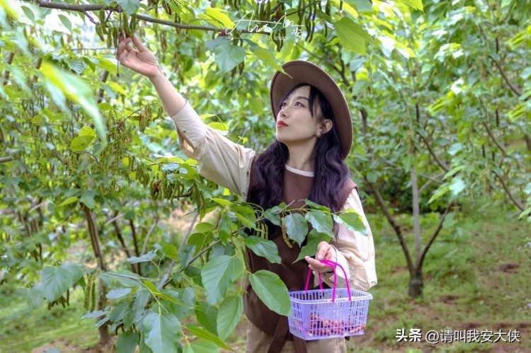 福州閩侯一日游自然人文治愈之旅
