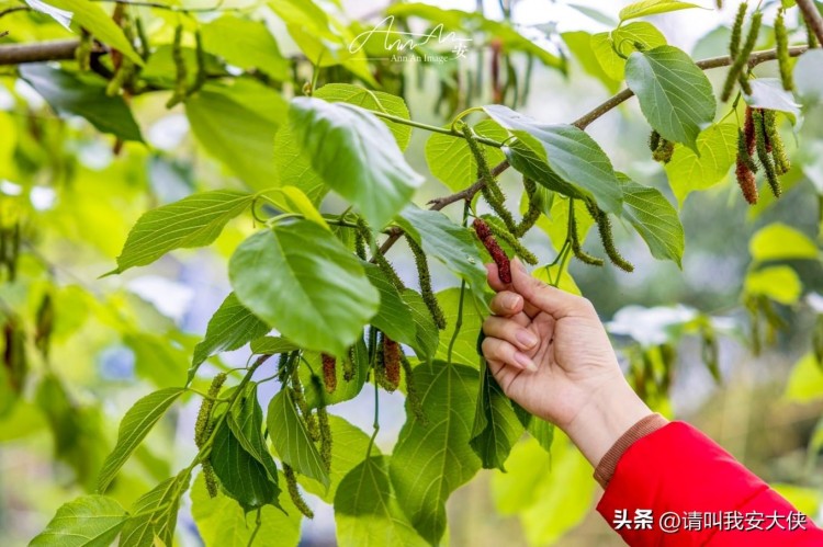 福州閩侯一日游自然人文治愈之旅