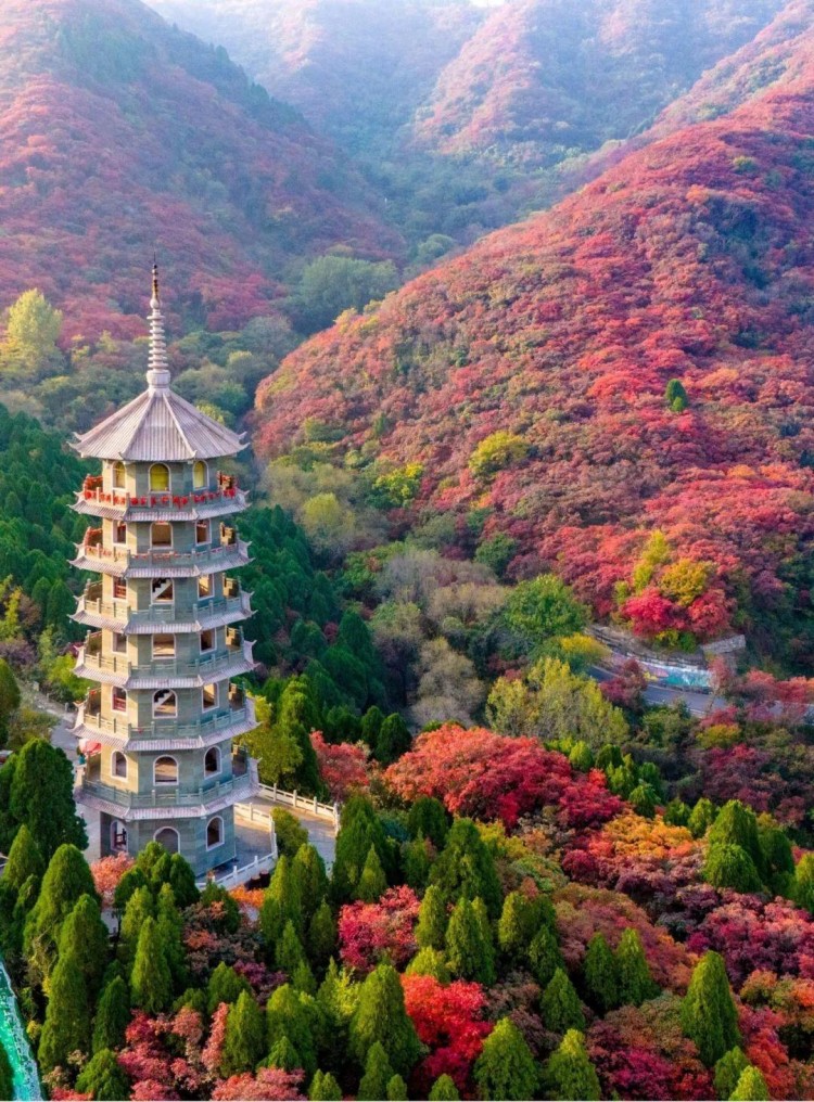 賞秋葉登秋山貼秋膘…秋天在濟南最治愈的10件事你都打卡了嗎
