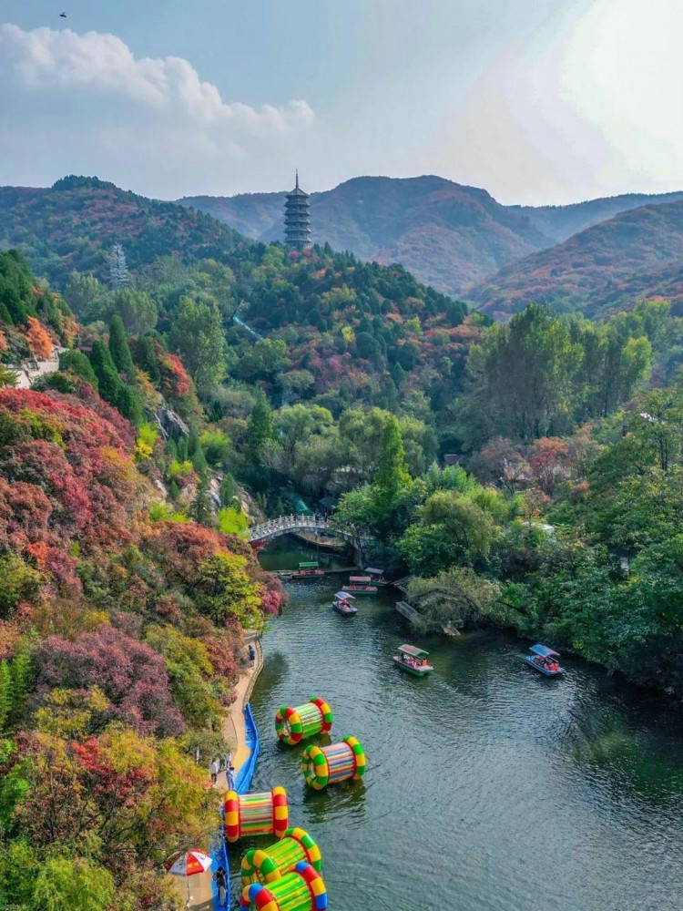 賞秋葉登秋山貼秋膘…秋天在濟南最治愈的10件事你都打卡了嗎
