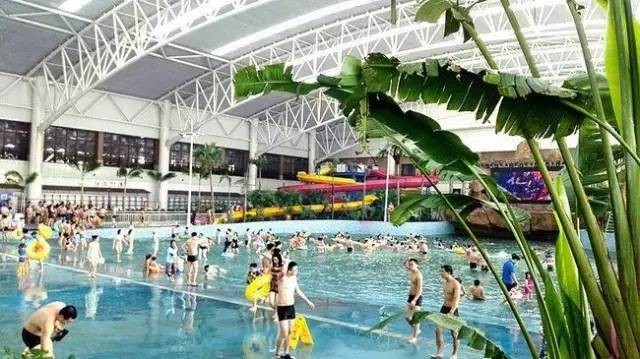 過去的這個周末哈爾濱人都去玩浪了江北一家水上樂園一天豪賺200萬