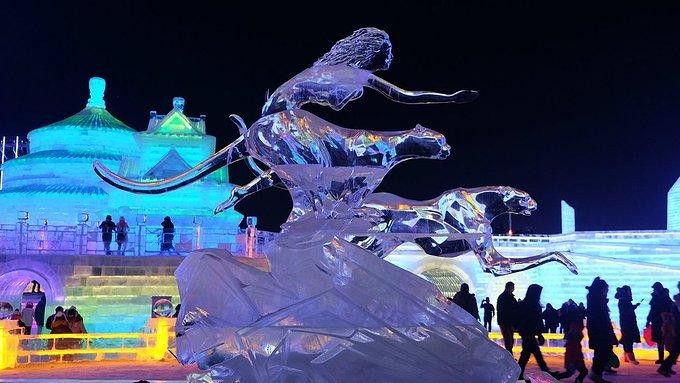 如果2018年底去哈爾濱浪！到底該怎么吃喝玩