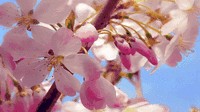 地表以下2009米深處的常州美膚水你嘗試過(guò)嗎