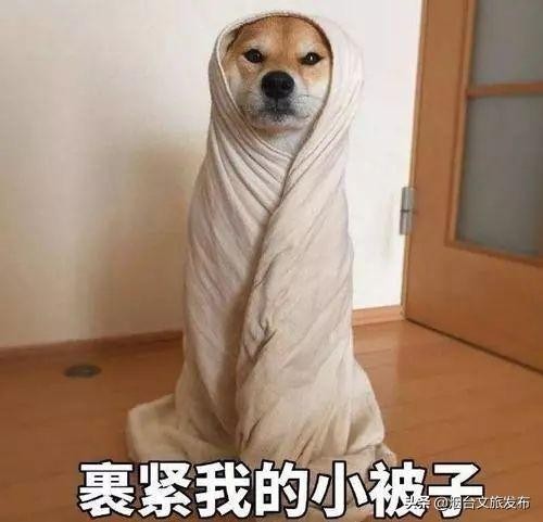 舒服！秋意漸濃養(yǎng)生季就來泡湯吧~