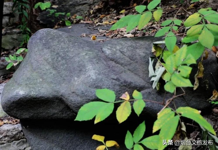 泡湯新體驗(yàn)！煙臺(tái)首創(chuàng)隕石養(yǎng)生溫泉正式面世！