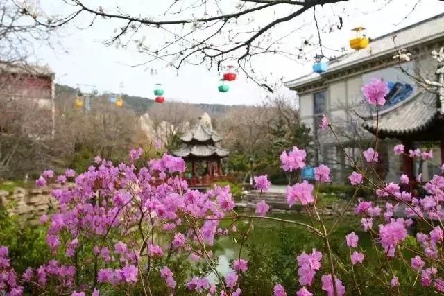 三八節(jié)在威海帶著你的女神享女神優(yōu)惠