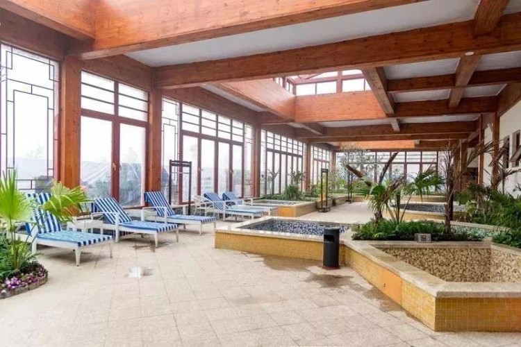 在洛陽看完美景吃完美食下一步該去……