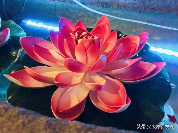 太原體驗(yàn)正宗泰式馬殺雞！給身體放個(gè)假省去飛泰國的機(jī)票錢