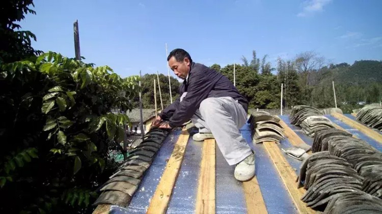 惠州這家民宿老板居然提供特殊服務(wù)！