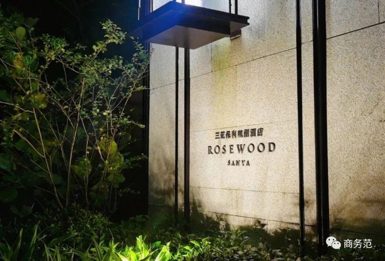 三亞團建：無邊泳池拍美照包游艇出海喝下午茶吃椰子雞上