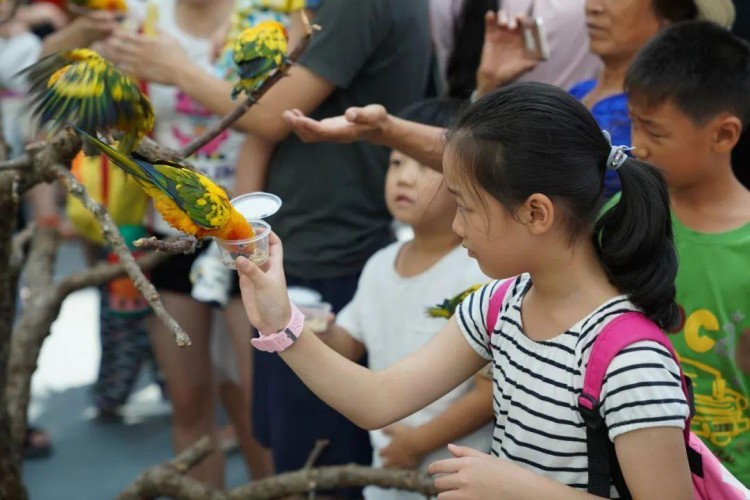@濰坊人去日照旅游必收藏！深度解鎖網(wǎng)紅海洋公園N種互動(dòng)玩法！