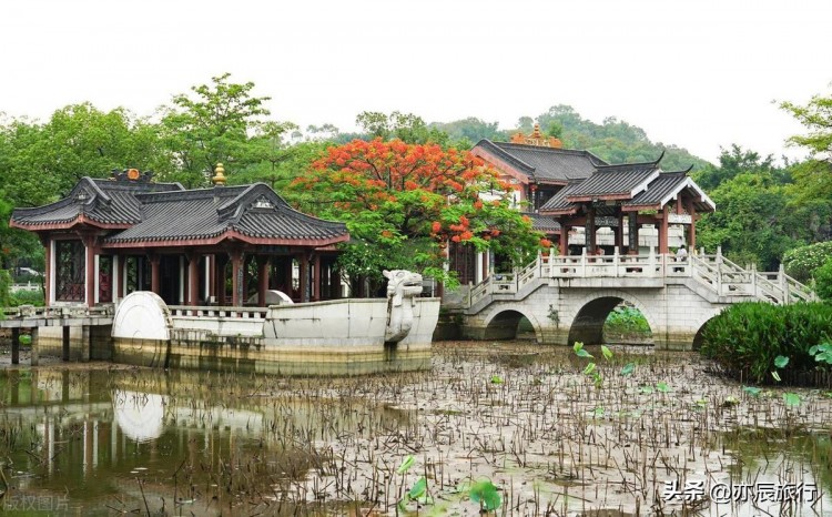 廣東惠州旅游六大必去景點(diǎn)2024春節(jié)旅游最合適的地方