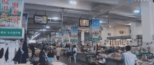江浙滬首家海洋風(fēng)情鉑爾曼酒店來(lái)襲全海景房驚艷遠(yuǎn)不止于此