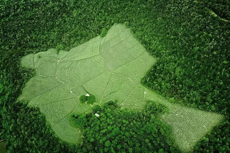 建德再成省級示范！這里有免費的氧氣SPA管夠！