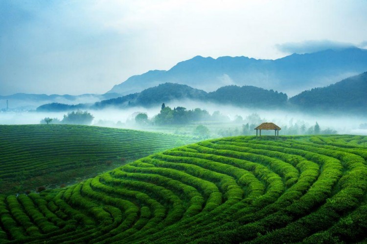 建德再成省級示范！這里有免費的氧氣SPA管夠！
