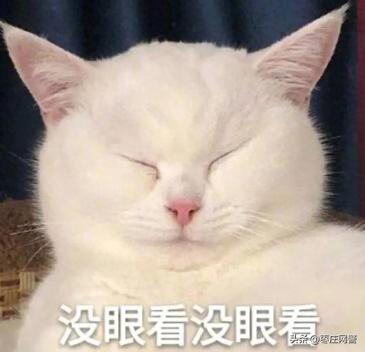 足浴保健中心隱藏著“特殊服務(wù)”，贛州警方抓獲多名涉黃男女