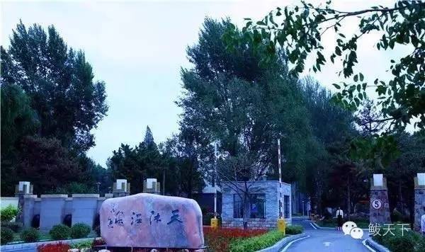 2016中國(guó)營(yíng)口國(guó)際海濱溫泉旅游節(jié)7月21日隆重啟幕