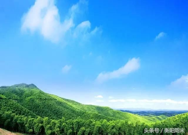 深呼吸！去九峰山湘南大竹海做個肺部SPA！