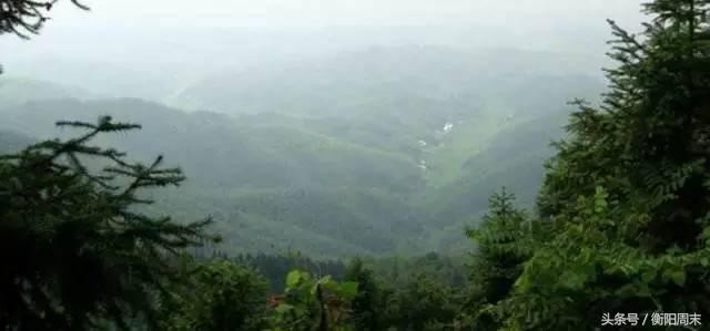 深呼吸！去九峰山湘南大竹海做個肺部SPA！