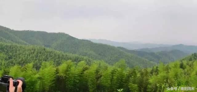 深呼吸！去九峰山湘南大竹海做個肺部SPA！