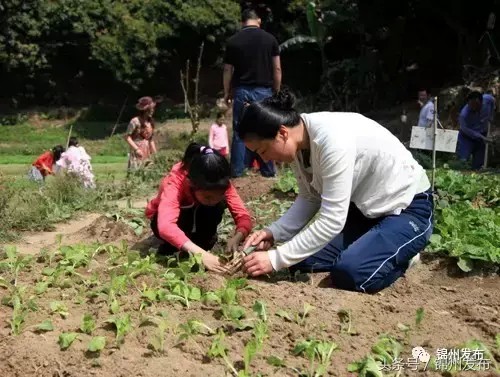 小長假錦州周邊去哪玩兒看點(diǎn)兒啥有啥優(yōu)惠都在這里了