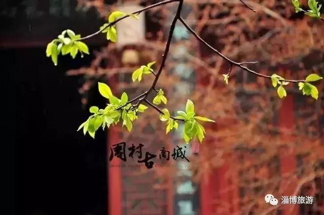 女神價到|@小仙女來淄博你要的寵愛都在這里……
