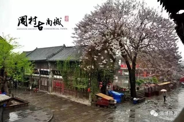 女神價到|@小仙女來淄博你要的寵愛都在這里……