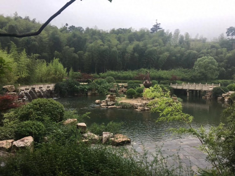 來一場身體與心靈的SPA——宜興竹海游記