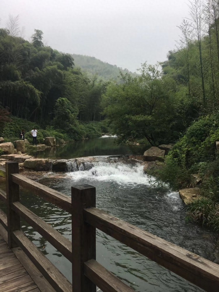 來一場身體與心靈的SPA——宜興竹海游記
