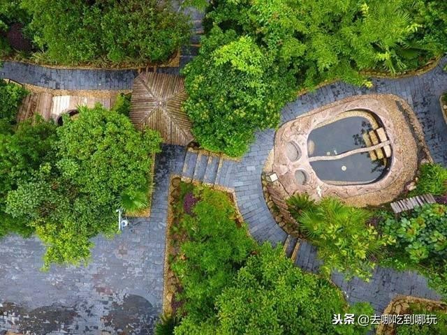88搶郴州莽山森林溫泉泡高空無邊溫泉賞莽山觀醉美日落云海