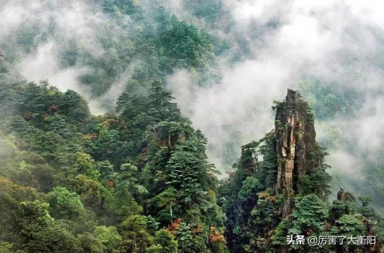 斷崖式降溫！去周邊最具人氣溫泉泡湯那才叫爽