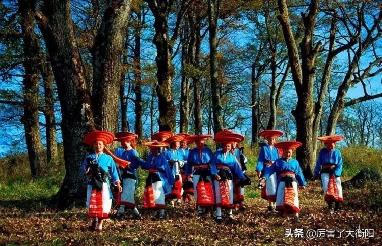 斷崖式降溫！去周邊最具人氣溫泉泡湯那才叫爽