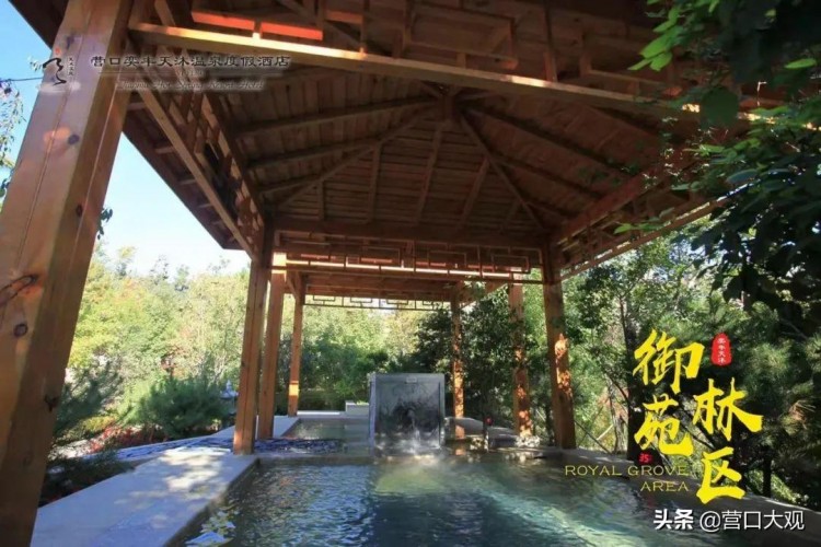 草木蒼翠松迎客來——營口奕豐天沐溫泉