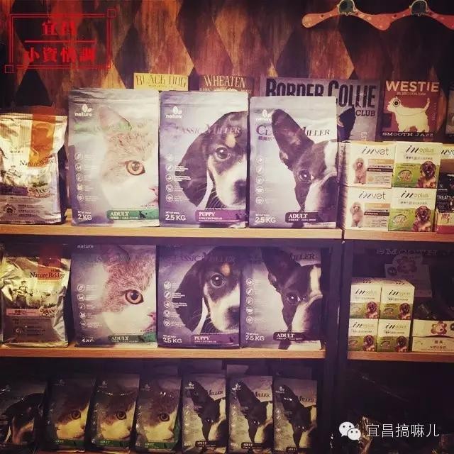 宜昌小資情調(diào)第七季：需要帶著寵物一起去的琥珀川寵咖