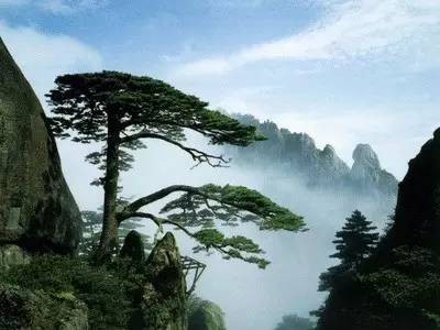 安徽9個AAAAA級景區(qū)卻沒有1個在馬鞍山哭暈在廁所~
