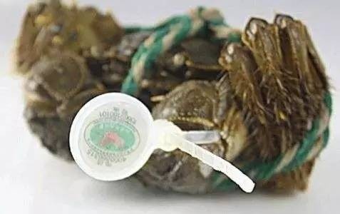 蘇州消費者十大鬧心的事都有哪些總有一條戳中你！