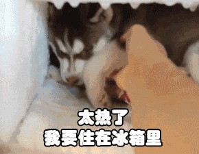 三伏天逃離酷暑！馬鞍山周邊8大涼爽游玩去處！別再肥宅在家了