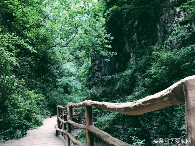 到湖北宜昌旅游必去的五大景區(qū)之一：遠(yuǎn)安武陵峽口生態(tài)旅游度假區(qū)