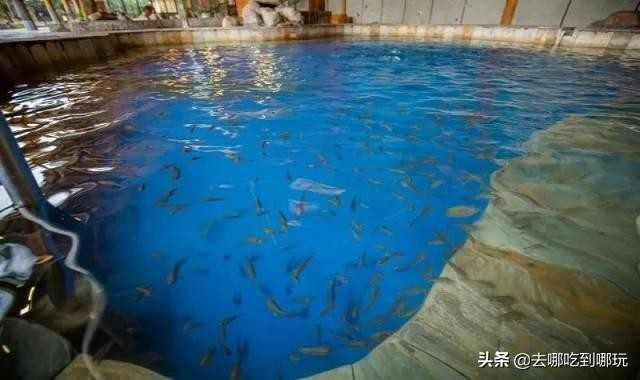 49.9搶馬鞍山香泉溫泉度假村1大1小票不一樣溫泉體驗周末不加價