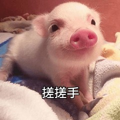 免費做SPA花一分錢算我輸!