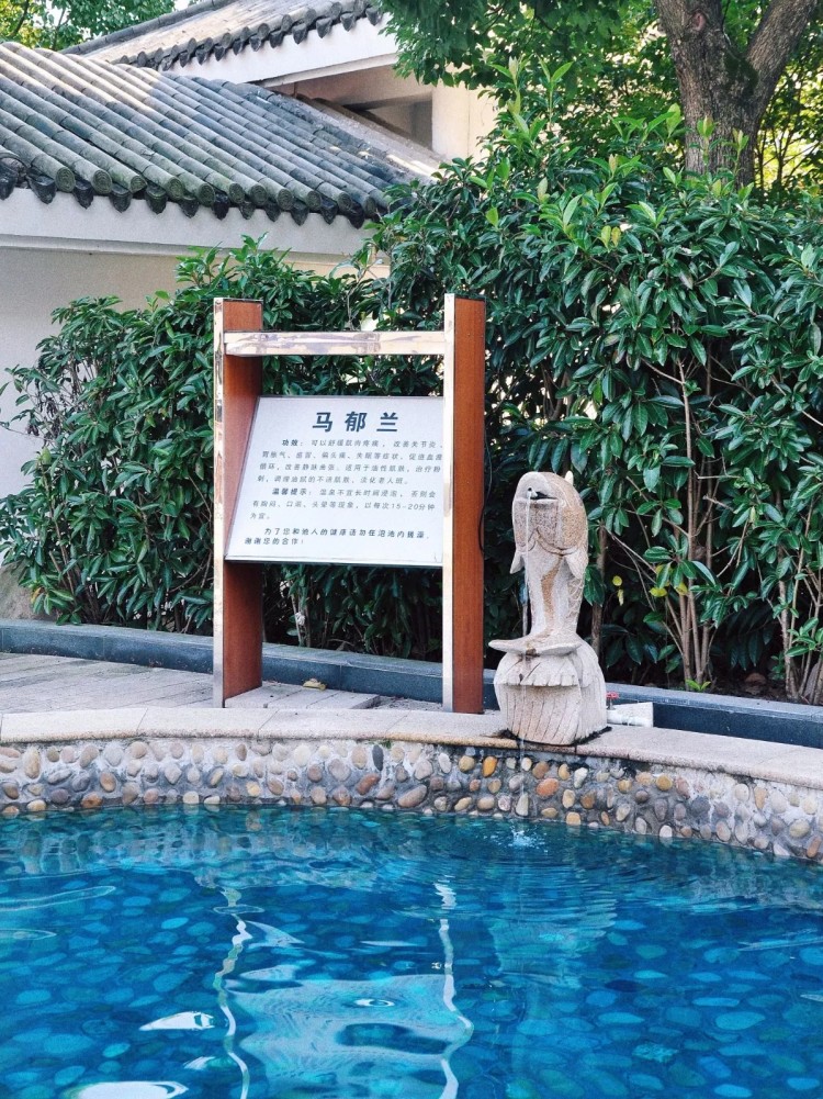 余姚陽(yáng)明溫泉攻略｜在冬日的暖陽(yáng)里