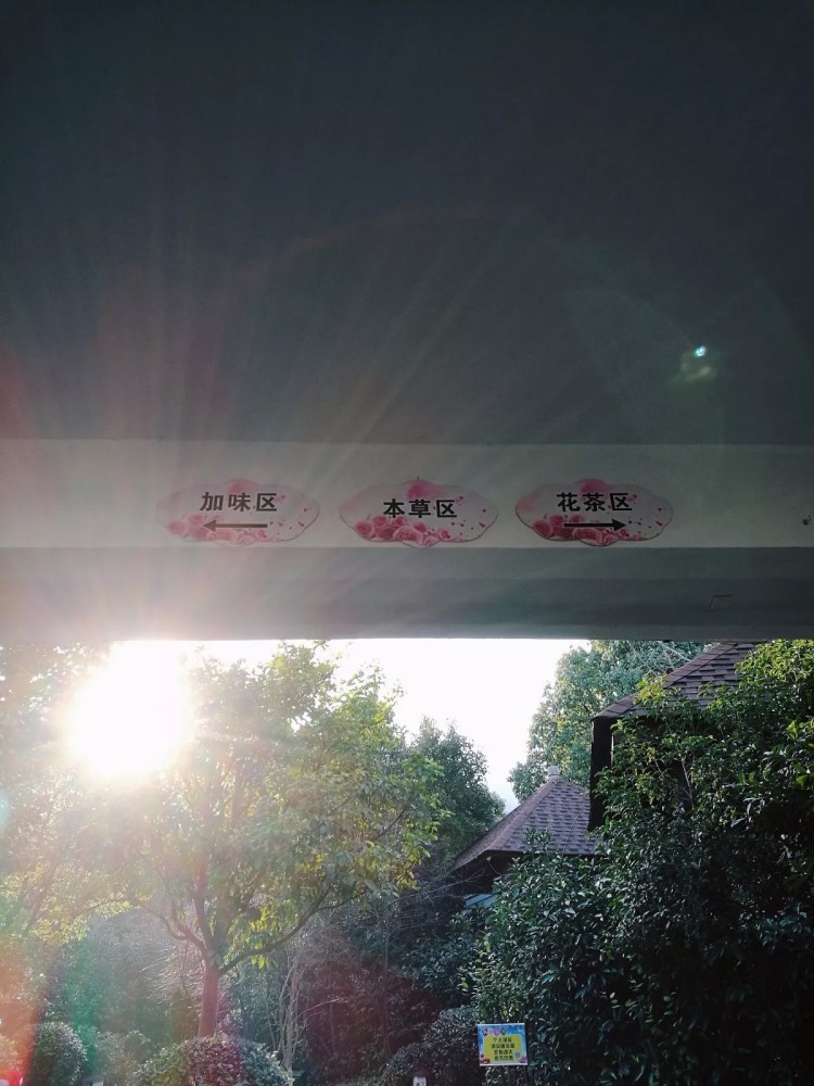 余姚陽(yáng)明溫泉攻略｜在冬日的暖陽(yáng)里