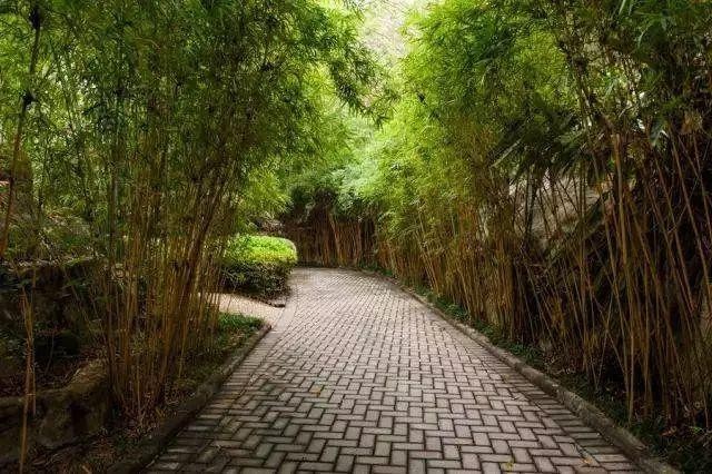 秋風(fēng)起泡溫泉|清遠(yuǎn)溫泉+水療泳池和心愛的ta泡溫泉