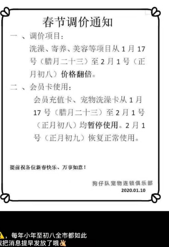 春節(jié)常德寵物市場消費升溫寄養(yǎng)美容要趁早