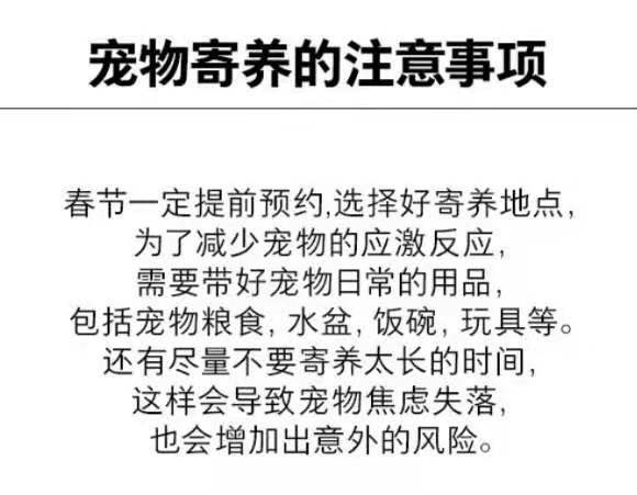春節(jié)常德寵物市場消費升溫寄養(yǎng)美容要趁早