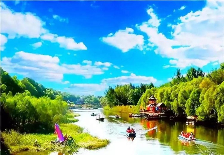 深度游盤錦｜十大流行語漏了的C位原來在五色盤錦