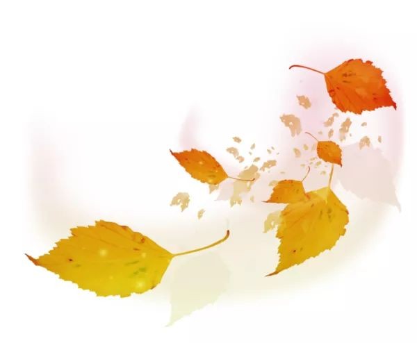 深度游盤(pán)錦｜秋風(fēng)起秋葉黃！紅灘紅！在最撩人的初秋與盤(pán)錦來(lái)一場(chǎng)最美的邂逅！