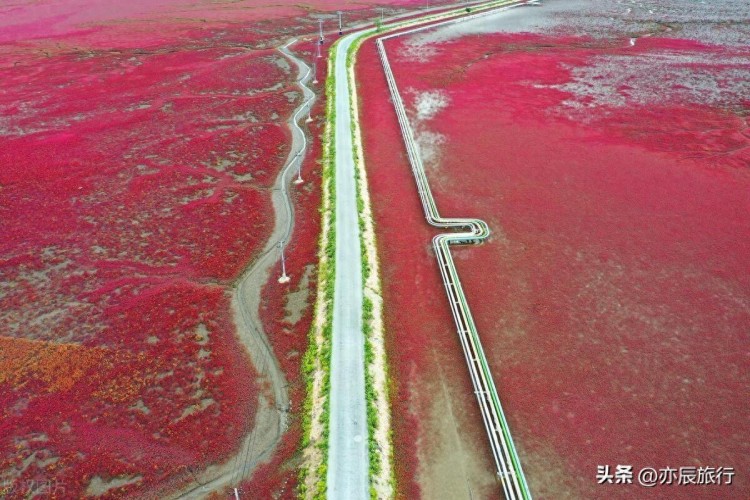 遼寧盤錦六大必去景點2024春節(jié)旅游最合適的地方