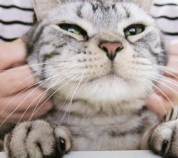 這位客官全套spa還滿意不看完我整個人都舒服了
